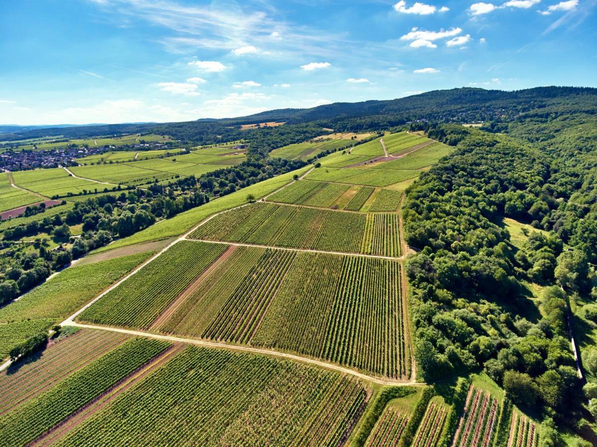 Balthasar Ress Guesthouse Am Rebhang Im Rheingau Oestrich-Winkel Extérieur photo